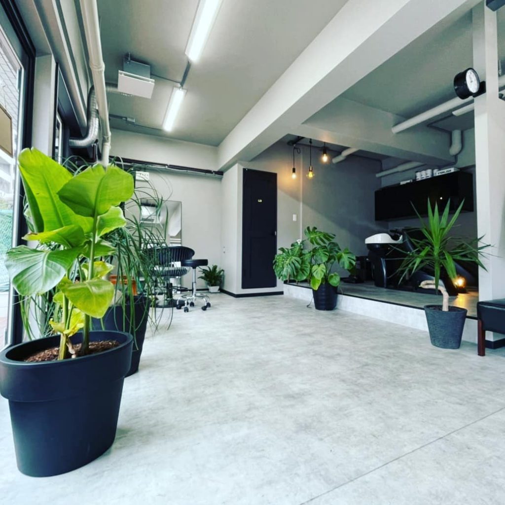 ＊寒いので植物たちも室内でぬくぬく。
